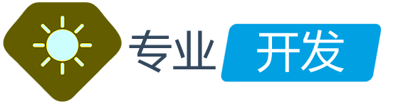 专业开发